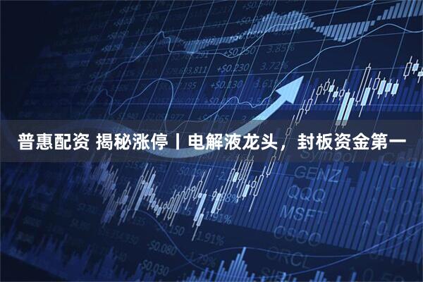 普惠配资 揭秘涨停丨电解液龙头,封板资金第一