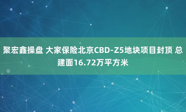聚宏鑫操盘 大家保险北京CBD-Z5地块项目封顶 总建面16.72万平方米
