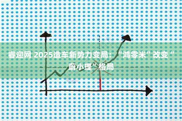 睿迎网 2025造车新势力变局:“鸿零米”改变“蔚小理”格局