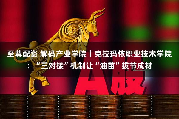 至尊配资 解码产业学院丨克拉玛依职业技术学院：“三对接”机制让“油苗”拔节成材